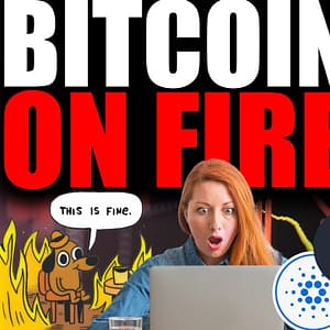 Bitcoin CRASHING Right NOW (BEST Ethereum & Cardano Analysis)