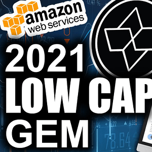 Low Cap Gem Decentralizing Amazon (Top 2021 Crypto)