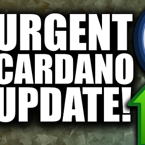 URGENT Cardano Update (TOP Reason ADA Price Will EXPLODE 2021)