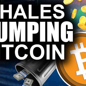 Whales DUMPING Bitcoin (Secret Reason Why)