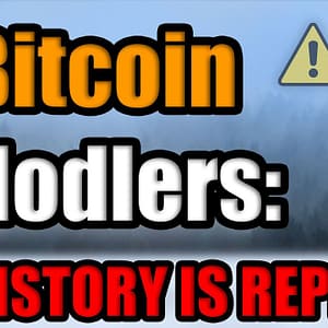 ALERT: History is Repeating for Cryptocurrency Hodlers into May 2021 | Cardano & Litecoin UPDATE!