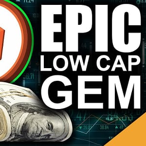 EPIC Low Cap Gem (Best Return on Investment in 2021)