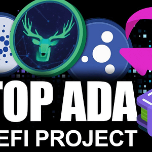 Top Cardano DEFI Project Set to EXPLODE in 2021