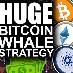 HUGE Bitcoin Whale Strategy Revealed For 2021 (Best Altcoin Picks)