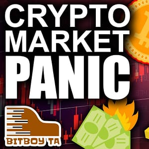 Crypto Market Panic (Bitcoin Price Below $30K)