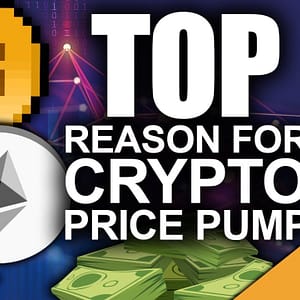 Solved Case Of Disappearing Ethereum (Top Reason Crypto Price Pumps)