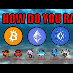 REVEALED: How Much Crypto You REALLY Need To Change Your Life! Chainlink Cardano Ethereum Bitcoin!