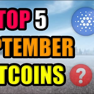 Top Blue Chip Altcoins with Most Potential in September 2021! (Best Cryptocurrency Investments)