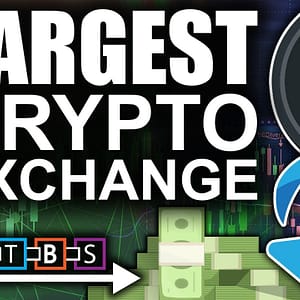 Largest Amount Of XRP Ever Moves Off Exchanges! ($300 Million Price Shock)