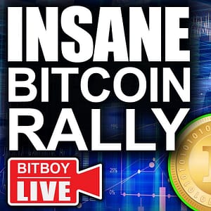 Unstoppable Bitcoin Rally (Altcoins to Follow in 2021)