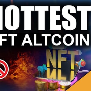 Hottest NFT Altcoin (No Gas Fees on this NFT blockchain)
