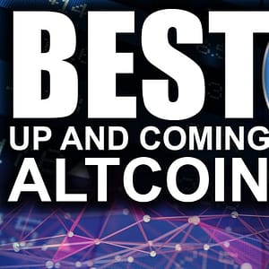 The Altcoin Of The Future (Wanchain Staking for Passive INCOME)