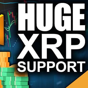 XRP Is Now a Kingdom (Banks Begging for XRP)