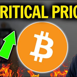 BITCOIN PUMPS TO $56K! REVEALS CRITICAL PRICE FOR CRYPTO TO REMAIN BULLISH!