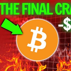 THE LAST Bitcoin & Crypto "Crash" (2021)
