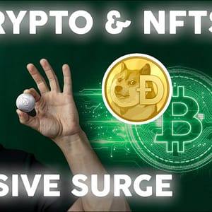 Massive Crypto & NFT Potential This Year! | Cryptocurrency News