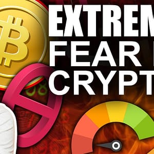 Crypto FEAR & GREED Index Showing EXTREME FEAR (3rd LARGEST Bitcoin Whale Buying)