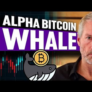 Alpha Bitcoin Whale (Why This Man Knows MORE Than You About Crypto)