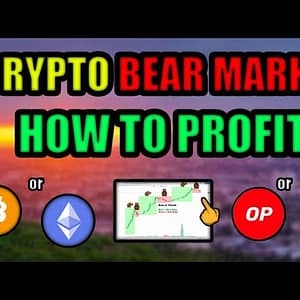 How To Make CRAZY Money in Cryptocurrency During a BEAR MARKET! Ethereum or Bitcoin? or Solana?