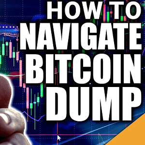 How To Navigate The BITCOIN Dump (TOP REASONS To Stay In Crypto)