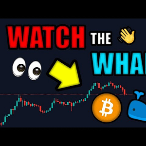 WHALES (QUIETLY) BUYING BITCOIN! 🐳 ETHEREUM to EXPLODE After MERGE in SEPTEMBER!