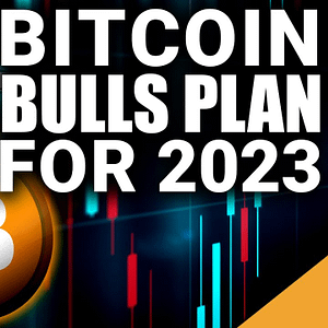 Bitcoin Bulls Plan for 2023 (Silver Lining to FTX Contagion)