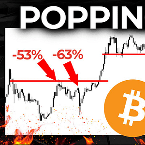 We Saw Bitcoin Crashing 60% After The Bottom Was In | Should Crypto Investors Expect The Worst?