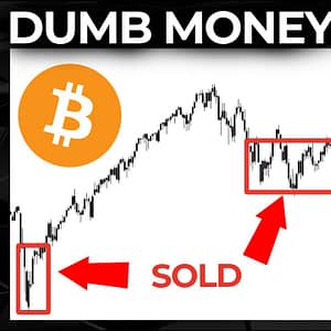 Bitcoin & SP500 Dumb Money Are Missing The BIGGEST Gains of The Decade!