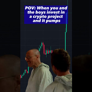 When You and the Boys Invest in a Crypto Project and it Pumps