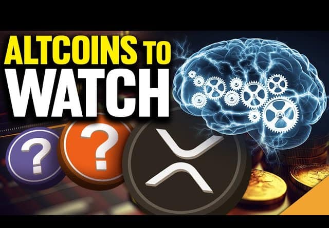Altcoins to Watch 👀 (XRP Creating Buzz) 🐝