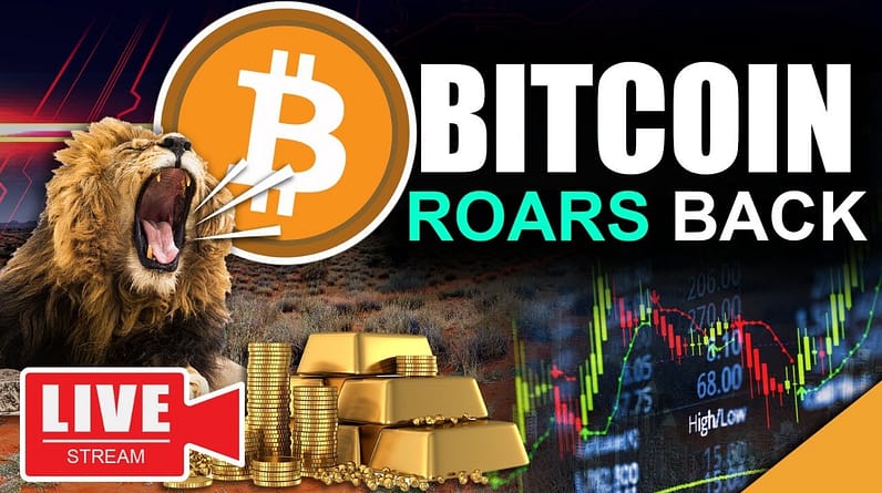 Bitcoin News: Bull Run Roars Back (2nd Chance At Life Changing Wealth)