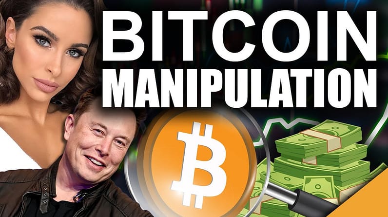 Elon Musk MANIPULATES Crypto? (Complete Beginner's Guide To Bitcoin)