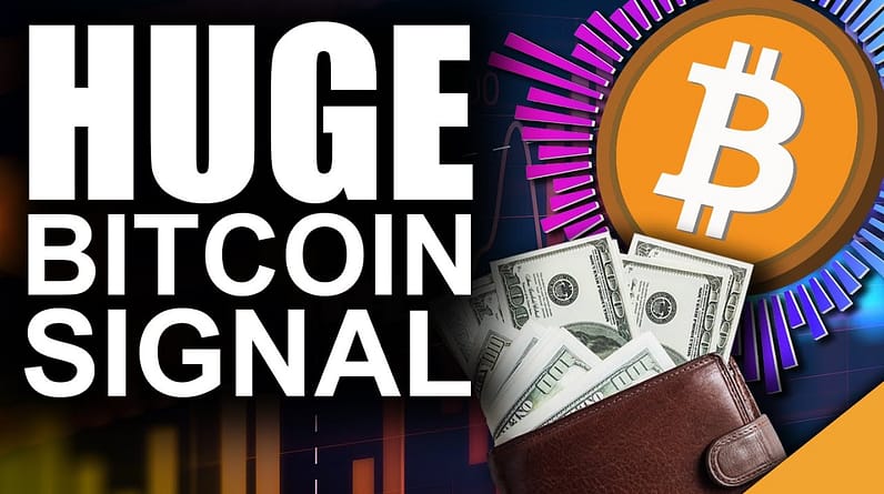 HUGE Bitcoin BUY Signal Flashes (Top Reason Experts LOVE BTC)