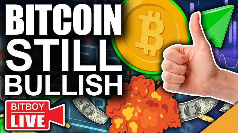 Bitcoin Is Looking EXTREMELY Healthy (2021 Bull Run Continues)