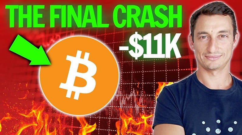THE LAST Bitcoin & Crypto "Crash" (2021)