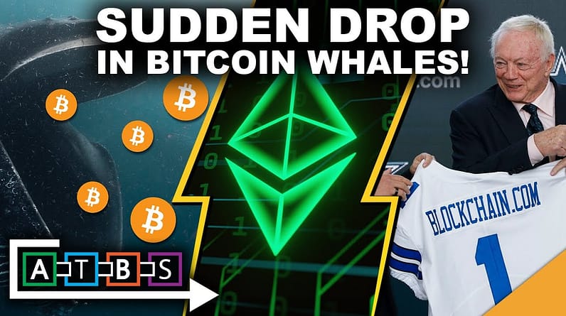 Sudden Drop in Bitcoin Whales Has Investors Nervous (HUGE Ethereum Upgrade Postponed)