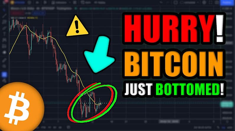 The Crypto Market JUST Bottomed (DO NOT MISS THIS)!