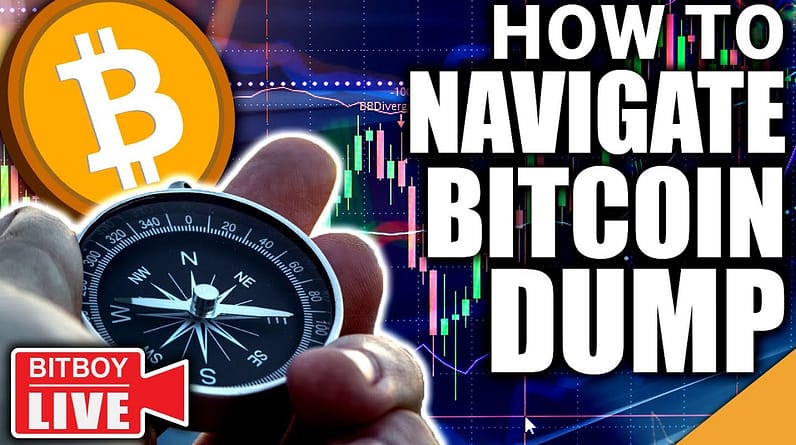 How To Navigate The BITCOIN Dump (TOP REASONS To Stay In Crypto)