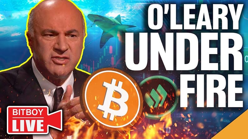 Bitcoin Bulls PRIMED To Return In 2023! (Kevin O'Leary UNDER FIRE!)