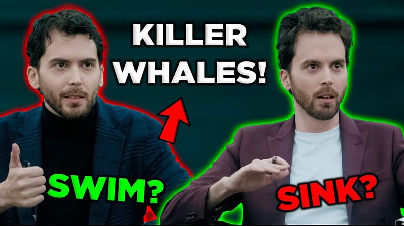 Killer Whales (like crypto Shark Tank) : Meet Altcoin Daily