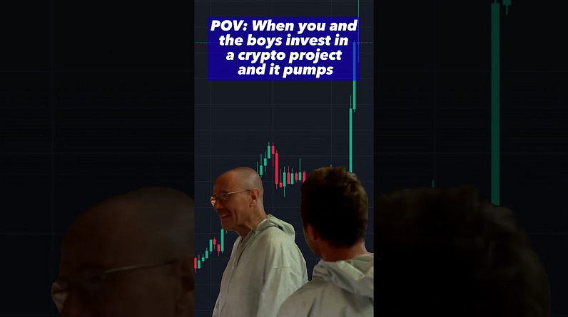 When You and the Boys Invest in a Crypto Project and it Pumps